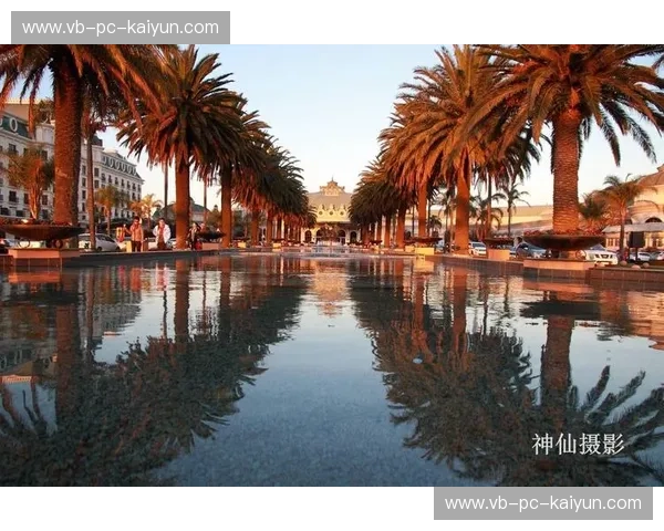 探索奢华的世界：开启开云网站的精彩之旅